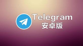 纸飞机telegram网页版群組連結